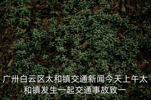 廣卅白云區(qū)太和鎮(zhèn)交通新聞今天上午太和鎮(zhèn)發(fā)生一起交通事故致一