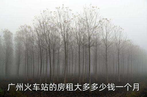 廣州火車站月租房，廣州火車站附近住房出租100米約多少錢一個月