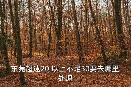 東莞車牌超速怎么處理，東莞牌在321國道113公里處肇慶超速扣分怎么處理