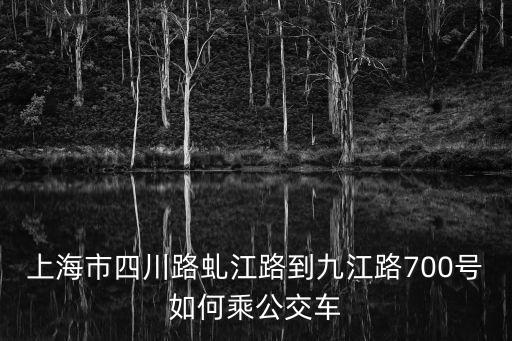 上海市四川路虬江路到九江路700號(hào)如何乘公交車(chē)