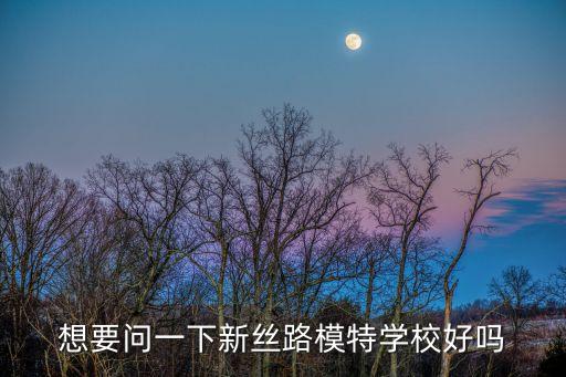 廣州新絲路模特培訓(xùn)學(xué)校，想要問(wèn)一下新絲路模特學(xué)校好嗎