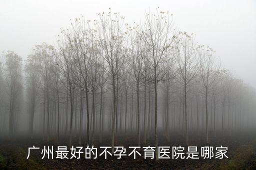廣州最好的不孕不育醫(yī)院是哪家