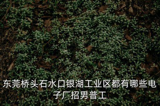 東莞橋頭石水口銀湖工業(yè)區(qū)都有哪些電子廠招男普工