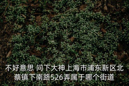 上海市浦東新區北蔡鎮下屬居委，浦東新區北蔡街道御橋路2066弄屬于什么居委會