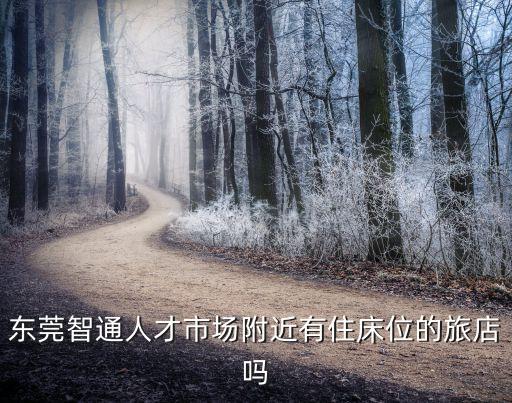 東莞智通人才市場附近有住床位的旅店嗎
