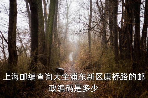 上海郵編查詢大全浦東新區(qū)康橋路的郵政編碼是多少