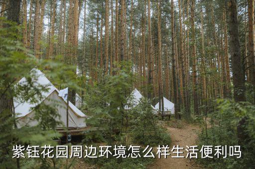 深圳紫玉花園外部車輛停車，紫鈺花園周邊環境怎么樣生活便利嗎