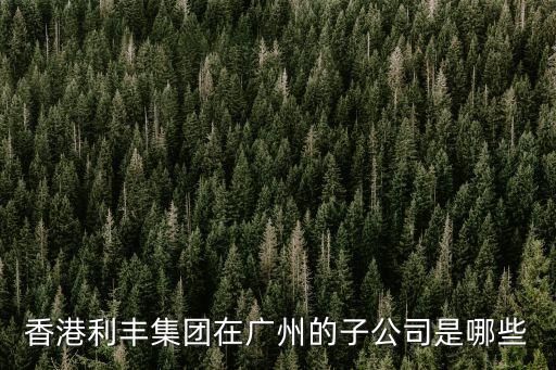 香港利豐集團在廣州的子公司是哪些