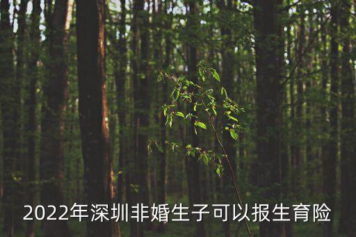 2022年深圳非婚生子可以報生育險
