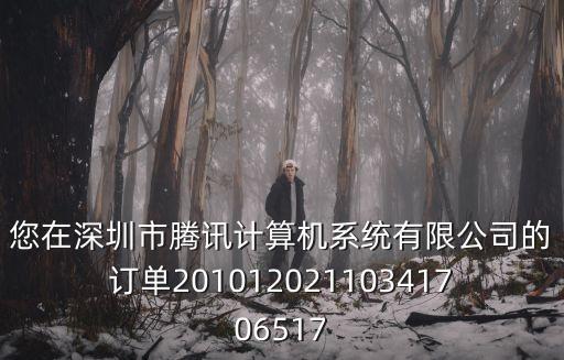 您在深圳市騰訊計(jì)算機(jī)系統(tǒng)有限公司的訂單20101202110341706517