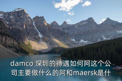 damco 深圳的待遇如何阿這個公司主要做什么的阿和maersk是什