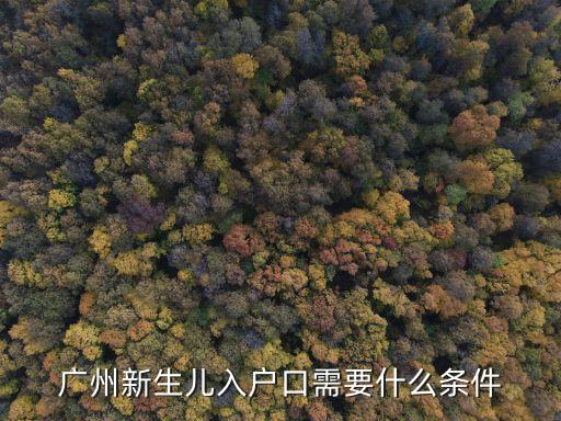 廣州 小孩辦戶口，廣州新生兒入戶口需要什么條件