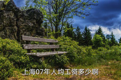 二零一七年上海市月平均工資，上海07年人均工資多少啊