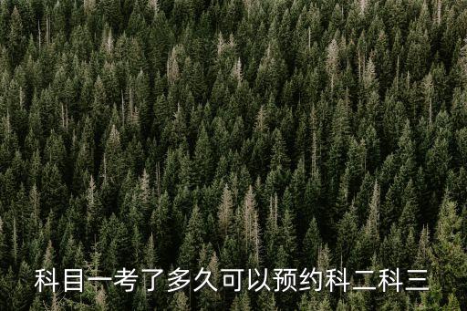 2020深圳幾時可以預約駕考，2022年12月深圳市網約車網上預約考試幾點鐘放號