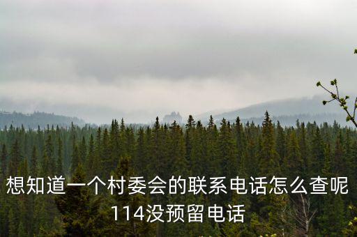 想知道一個村委會的聯系電話怎么查呢114沒預留電話