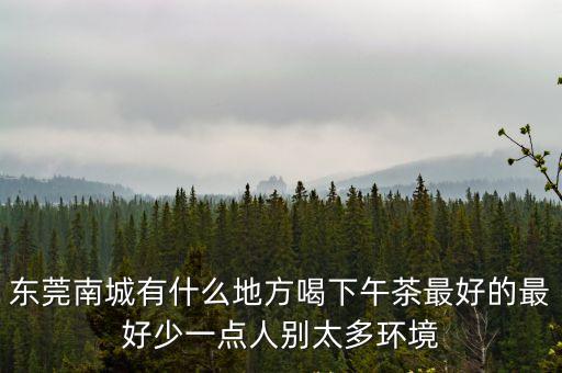 東莞比較高大上的下午茶，在新天地逛街逛累了想去喝下午茶有沒有推薦啊