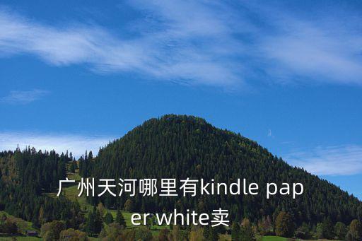 廣州天河哪里有kindle paper white賣