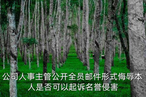 廣州珍植潤向經理，公司人事主管公開全員郵件形式侮辱本人是否可以起訴名譽侵害