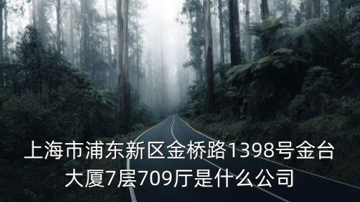 上海市浦東新區金橋路1398號金臺大廈7層709廳是什么公司