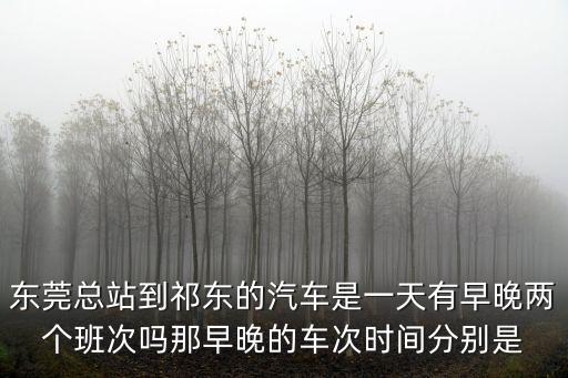 東莞總站到祁東的汽車是一天有早晚兩個班次嗎那早晚的車次時間分別是