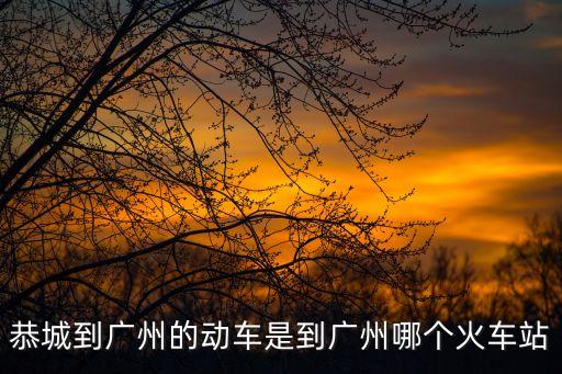恭城到廣州的動車是到廣州哪個火車站