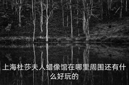 上海杜莎夫人蠟像館在哪里周圍還有什么好玩的