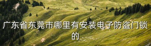 東莞市出租房門禁，廣東省東莞市哪里有安裝電子防盜門鎖的