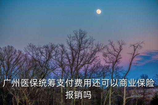 廣州醫保統籌支付費用還可以商業保險報銷嗎