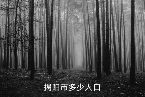 廣州揭陽(yáng)市有多少人口，揭陽(yáng)市人口
