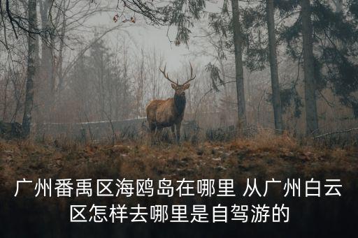 廣州海鷗島在哪，海鷗島到底是在黃閣汽車城哪里還是在番禺廣場那里還是沒搞清楚