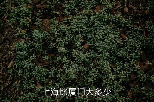 廈門市還是上海市大，上海比廈門大多少