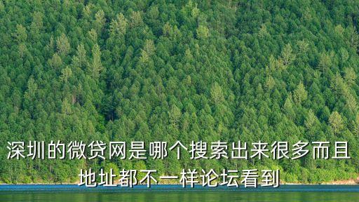 深圳的微貸網(wǎng)是哪個(gè)搜索出來很多而且地址都不一樣論壇看到