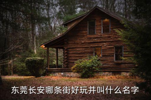 東莞長安哪條街好玩并叫什么名字