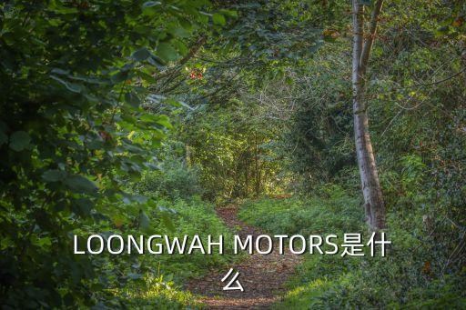 LOONGWAH MOTORS是什么
