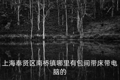 上海奉賢區(qū)南橋鎮(zhèn)哪里有包間帶床帶電腦的