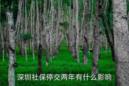 深圳社保停交兩年有什么影響