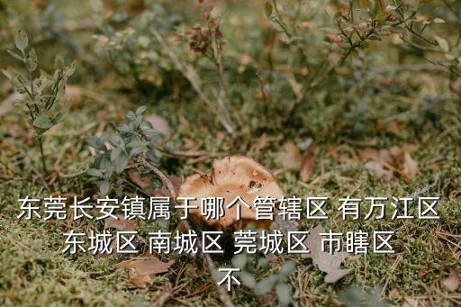 東莞長安鎮屬于哪個管轄區 有萬江區 東城區 南城區 莞城區 市瞎區 不