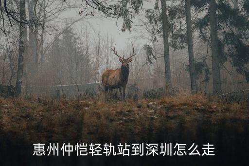 惠州仲愷輕軌站到深圳怎么走