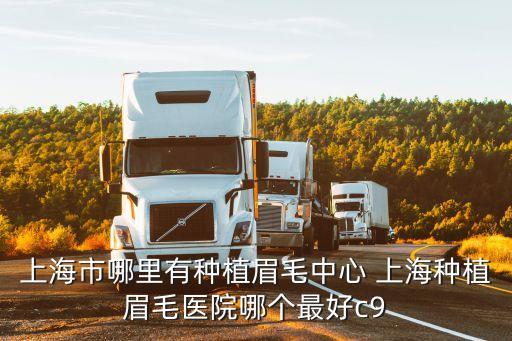 2019 上海市藝術科研，上海好的皮膚病地址上海最好的皮膚病在哪