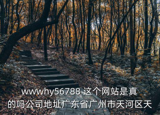 wwwhy56788 這個(gè)網(wǎng)站是真的嗎公司地址廣東省廣州市天河區(qū)天