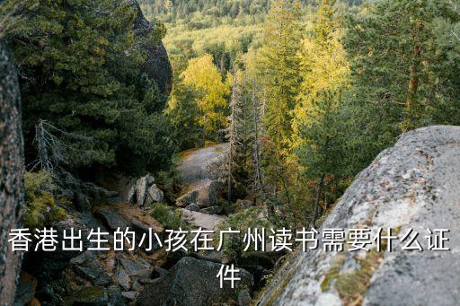 香港出生的小孩在廣州讀書需要什么證件