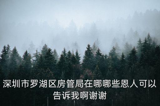 深圳市羅湖區房管局在哪哪些恩人可以告訴我啊謝謝