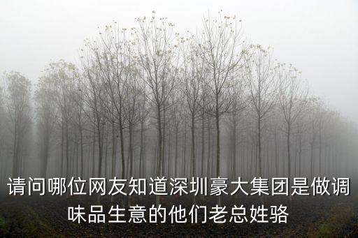 請問哪位網友知道深圳豪大集團是做調味品生意的他們老總姓駱