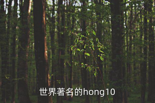 世界著名的hong10