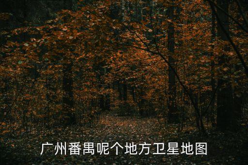 廣州番禺區(qū)觀龍島圖片，廣州番禺地圖