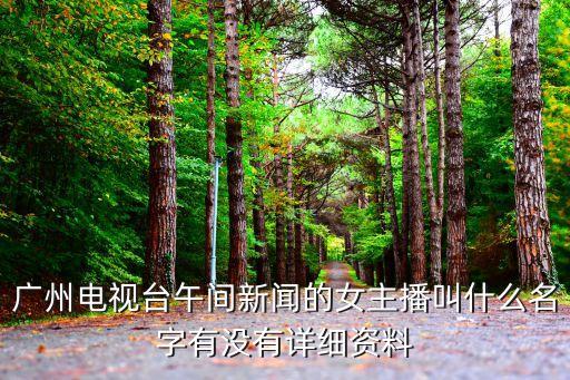 廣州電視臺午間新聞的女主播叫什么名字有沒有詳細資料