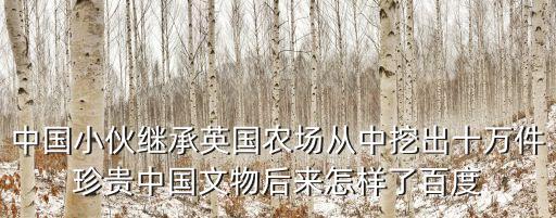 中國小伙繼承英國農場從中挖出十萬件珍貴中國文物后來怎樣了百度