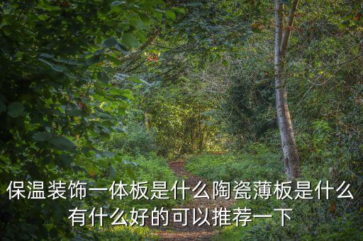 保溫裝飾一體板是什么陶瓷薄板是什么有什么好的可以推薦一下
