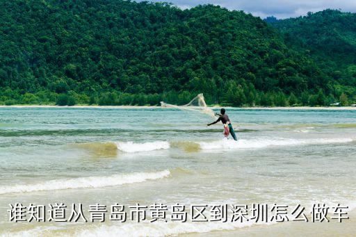 誰知道從青島市黃島區到深圳怎么做車