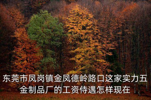 東莞市鳳崗鎮(zhèn)金鳳德嶺路口這家實力五金制品廠的工資侍遇怎樣現(xiàn)在